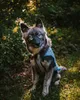 Kurgo Core Cooling Vest Blau, Farbe:blau, Größe:XL Produktbild-Vorschau 13