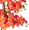Orchidée artificielle en pot « Sanae » - Pot en ciment Voir les images du produit 3