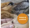 Zeckenentferner ARDAP® Zeckenhaken Kunststoff 3 Stück zum Produktbild-Vorschau 3