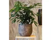 Blumenvase Blumentopf Passion for Pottery Solano Ton Ø 22 Produktbild-Vorschau 7