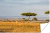 MuchoWow® Poster Giraffen in Kenia 120x80 cm - Bilder Produktbild-Vorschau 1