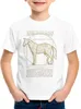 style3 Vitruvianisches Pferd Kinder T-Shirt stute hengst Produktbild-Vorschau 1