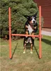 Merco Dog Trainer agility překážky pro psy balení 1 sada Náhled obrázku produktu 13