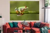 MuchoWow® Poster Rotäugiger Quecksilberfrosch auf Bambus Produktbild-Vorschau 2