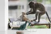 MuchoWow® Fototapete für Wohnzimmer oder Schlafzimmer Produktbild-Vorschau 7