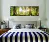 5730 Wald im Gegenlicht Leinwandbild 120x40 cm Produktbild-Vorschau 3