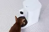 PETKIT YumShare Solo con videocamera (P571) Anteprima dell’immagine prodotto 7