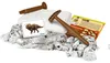 Galileo Discovery - Ausgrabungs-Set Triceratops - Náhled obrázku produktu 5
