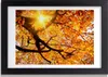 Bild 30x20 MDF-Rahmen, Wandkunst Krone der Bäume im Herbst Produktbild-Vorschau 1