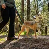 Ruffwear Hundeleine Roamer™ Leash Orion Blue, Größe: L Produktbild-Vorschau 4