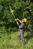 Elektro Kettensäge Teleskop 300mm Schwertlänge Produktbild-Vorschau 8