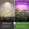 Vollspektrum Pflanzenlampe 256 LEDs, 30W LED Produktbild-Vorschau 8