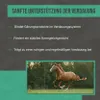C44 Futterkohle für Pferde | Hilfe bei Kotwasser & Produktbild-Vorschau 5