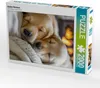 CALVENDO Puzzle Bald sind wir groß | 2000 Teile Lege-Größe Produktbild-Vorschau 2