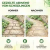 Ameisen Abwehrspray Power-Konzentrat 500 ml – Mittel gegen Produktbild-Vorschau 5