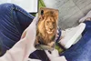 MuchoWow® Handyhülle Schutzhülle Hülle für Samsung Galaxy Produktbild-Vorschau 3