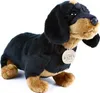 RAPPA Peluche chien teckel assis 32 cm ECO-FRIENDLY Voir les images du produit 1