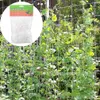 Gartengitter, Gurken, Bohnen, Klettertrauben, 167, 5 m, Produktbild-Vorschau 2