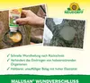 A collage of images showing a hand applying tree wound sealant and a treated tree wound. Produktbild-Vorschau