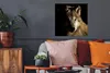 MuchoWow® Poster Polarwolf 50x50 cm - Wohnzimmerdekoration Produktbild-Vorschau 2