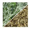 Herbs from Poland Polpala-Kraut – Unterstützt Nieren & Produktbild-Vorschau 2