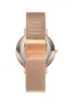Paul Valentine Montre Femme MARINA ROSE GOLD MESH 38 MM Voir les images du produit 4