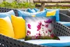 MuchoWow® Outdoor Kissen - Blumen - Rosa - Cosmea - 50x30 Produktbild-Vorschau 4