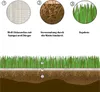 easygreen® Trockenrasen 12m² Produktbild-Vorschau 1