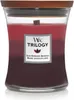 Woodwick Trilogy Sun Ripened Berries 275 g Produktbild-Vorschau 5