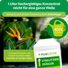 Purgrün Strelitzien-Dünger 1 Liter Produktbild-Vorschau 4