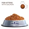 Club 4 Paws Kitten-Trockenfutter mit Lachs, 5 kg Produktbild-Vorschau 3