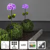 LED-Solarstab 'Hortensia', pink Produktbild-Vorschau 8