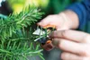 FISKARS 1063326 nůžky na byliny SOLID kalené nerez čepele Náhled obrázku produktu 17