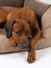 TrendPet VitaBed Style orthopädisches Hundebett braun Produktbild-Vorschau 2