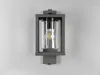 A modern outdoor wall lamp with a gray metal frame and a clear glass cylinder. Anteprima dell’immagine prodotto