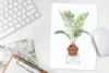MuchoWow® Mauspad Mousepad Pflanzen - Palme - Blumentopf Produktbild-Vorschau 5