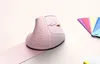 Mouse ergonomico senza fili, 2,4 GHz USB, Ugreen M571, rosa Anteprima dell’immagine prodotto 5
