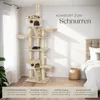 Kratzbaum Hansi 243 bis 260 cm inklusive 2 Treppen, 2 Produktbild-Vorschau 3