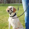 Trixie Top Trainer Ausbildungsgeschirr max. 27 cm Produktbild-Vorschau 2