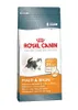 ROYAL CANIN Hair&Skin Care - trockenfutter für Katzen - 4kg Produktbild-Vorschau 19