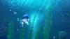 Astro Bot character swimming underwater among seaweed and bubbles. Podgląd zdjęcia produktu