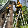 NAIZY 4×5 Stufen 584cm Aluminum Gerüst leiter Produktbild-Vorschau 7