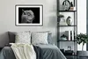 MuchoWow® MuchoWow® Gerahmtes Poster Alpaka - Fell - Produktbild-Vorschau 2