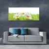 Acrylglasbilder 125x50 Wandbild Druck Gras Gänseblümchen Produktbild-Vorschau 3