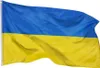 PHENO FLAGS Bandiera Ucraina 90 x 150 cm Bandiera ucraina Anteprima dell’immagine prodotto 1