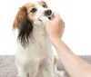 Trixie hygiène dentaire doigtiers jetables - 50 pièces Voir les images du produit 10