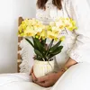 Kolibri Orchids | Gelbe Phalaenopsis Orchidee - Albenga - Produktbild-Vorschau 5