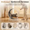 Roue d'exercice pour chat FCH, tapis roulant pour chat, Voir les images du produit 2