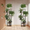 Two multi-tiered plant stands filled with green potted plants are displayed in a room with wooden paneled walls and tiled walls. Anteprima dell’immagine prodotto