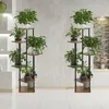 Two multi-tiered plant stands with potted plants are displayed in a well-lit indoor setting with a textured wall and tiled floor. Anteprima dell’immagine prodotto